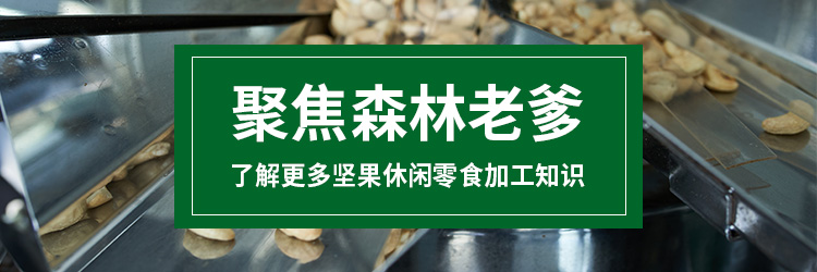 聚焦焦点娱乐，了解更多坚果休闲零食加工知识