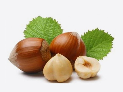 焦点娱乐坚果代工厂-榛子仁