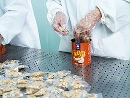 焦点娱乐食品装罐时