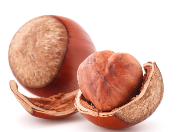 焦点娱乐坚果加工厂专业坚果代加工