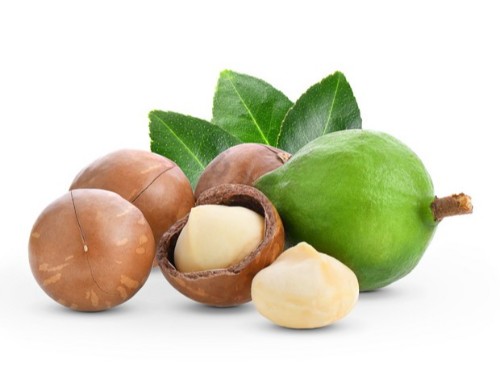 原味夏威夷果好吃还是奶香味-焦点娱乐坚果代工厂