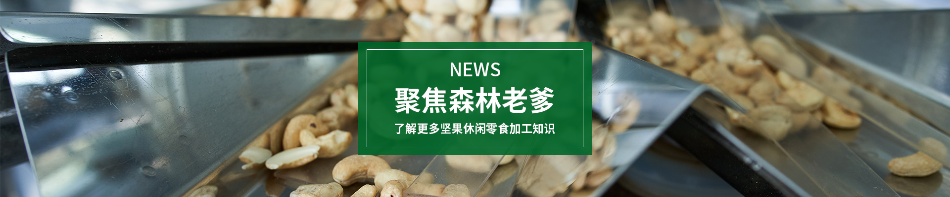 聚焦焦点娱乐，了解更多坚果休闲零食加工知识