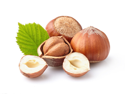 焦点娱乐带壳榛子榛子代加工